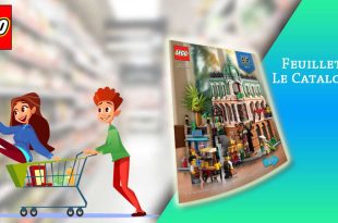 Catalogue LEGO Janvier 2022