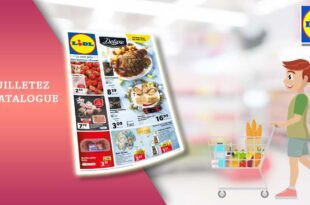 Catalogue Lidl de la semaine du 22 au 28 mars 2023 en ligne