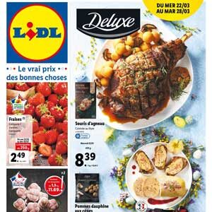 Catalogue Lidl de la semaine du 22 au 28 mars 2023 en ligne 