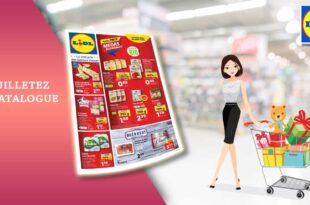 catalogue Lidl du 10 au 16 mai 2023 : Petits prix, mégas économies !