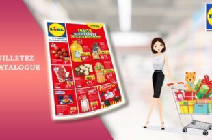 Catalogue Lidl de la semaine du 28 juin au 4 juillet 2023 en ligne