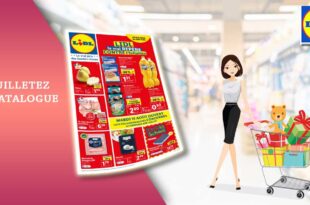 Catalogue Lidl du 9 au 15 Août 2023 en ligne