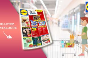 Catalogue Lidl du 24 au 30 Janvier 2024 - À vos marques