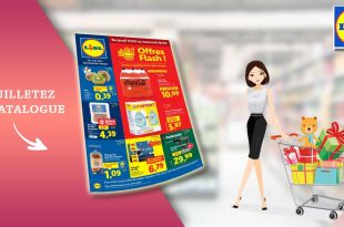 Catalogue Lidl Du 13 Au 19 Mars 2025 : Offres Flash Exceptionnelles pour Tous !