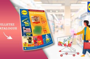 Catalogue Lidl du 24 au 29 avril 2025 : équipements, grillades et bons plans à prix canon !